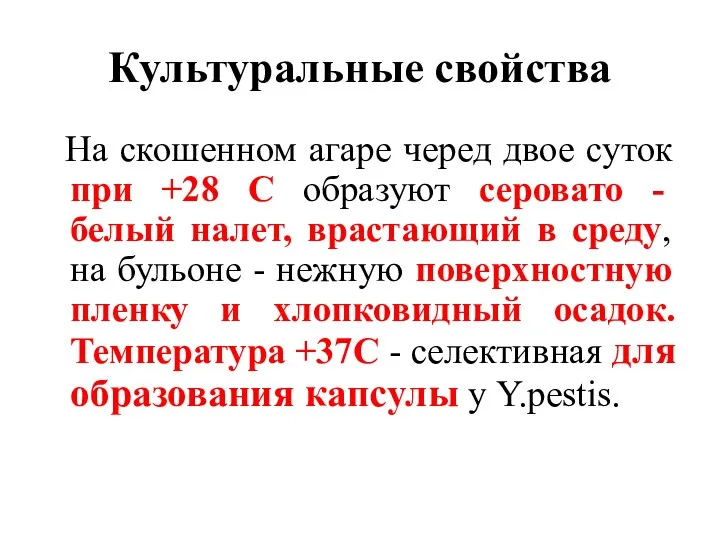 Культуральные свойства На скошенном агаре черед двое суток при +28