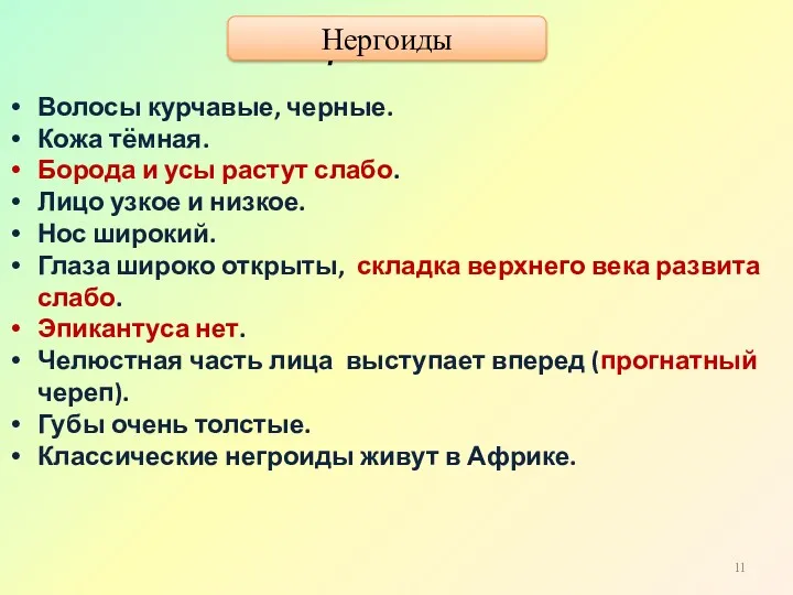 Негроиды Волосы курчавые, черные. Кожа тёмная. Борода и усы растут