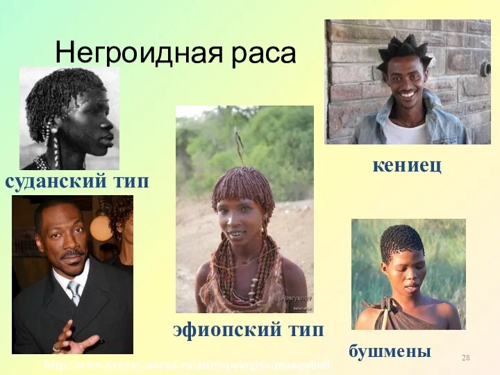 Негроидная раса бушмены суданский тип эфиопский тип кениец http://www.yenyey.narod.ru/antropologiya/mongoloid
