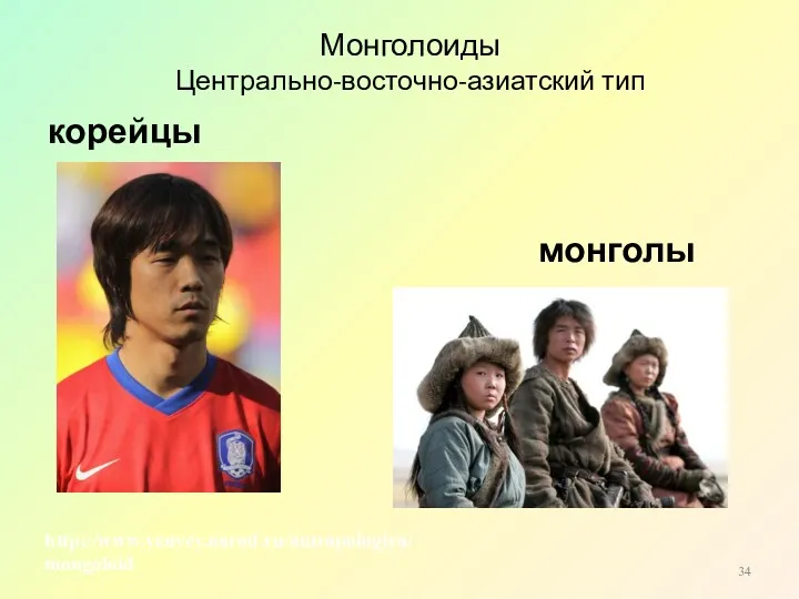 Монголоиды Центрально-восточно-азиатский тип корейцы монголы http://www.yenyey.narod.ru/antropologiya/mongoloid