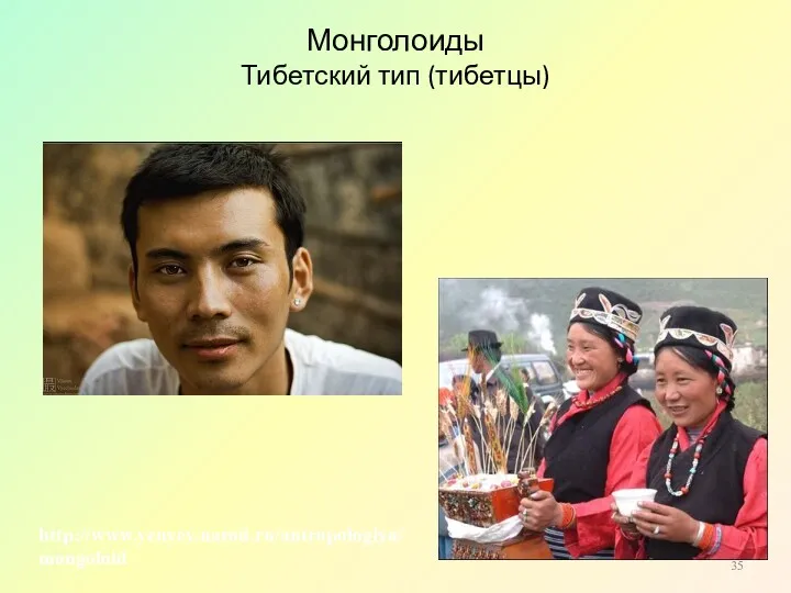 Монголоиды Тибетский тип (тибетцы) http://www.yenyey.narod.ru/antropologiya/mongoloid