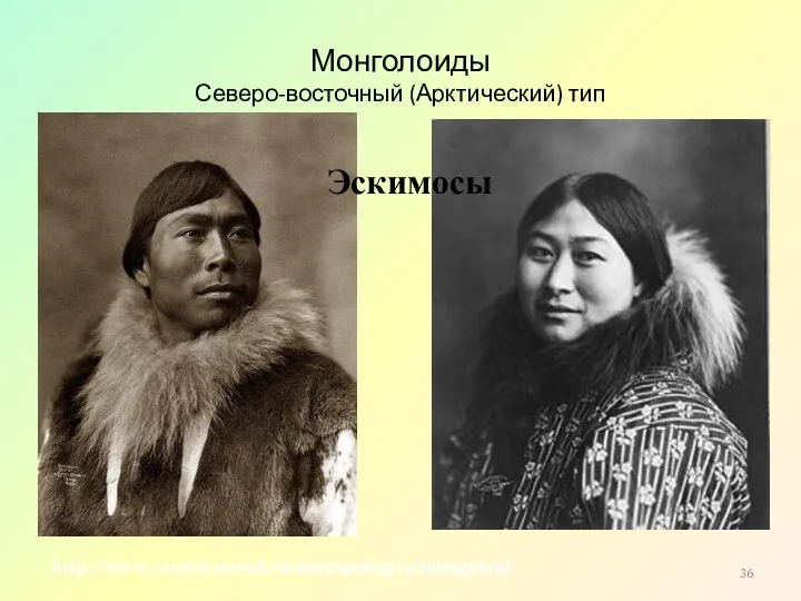 Монголоиды Северо-восточный (Арктический) тип http://www.yenyey.narod.ru/antropologiya/mongoloid Эскимосы