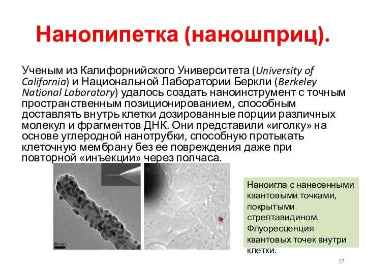 Нанопипетка (наношприц). Ученым из Калифорнийского Университета (University of California) и