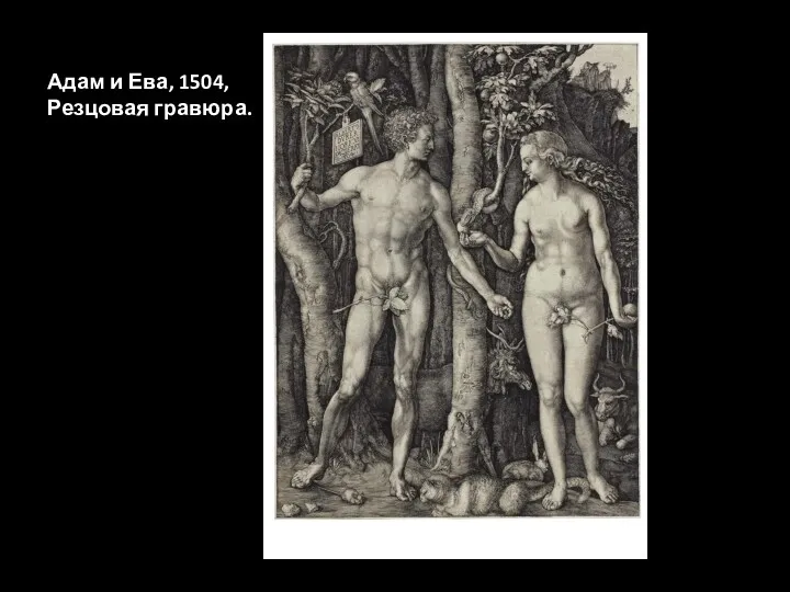 Адам и Ева, 1504, Резцовая гравюра.