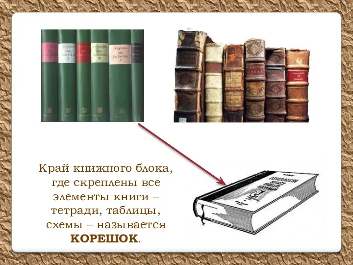 Край книжного блока, где скреплены все элементы книги – тетради, таблицы, схемы – называется КОРЕШОК.