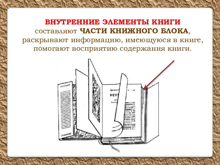 ВНУТРЕННИЕ ЭЛЕМЕНТЫ КНИГИ составляют ЧАСТИ КНИЖНОГО БЛОКА, раскрывают информацию, имеющуюся в книге, помогают восприятию содержания книги.