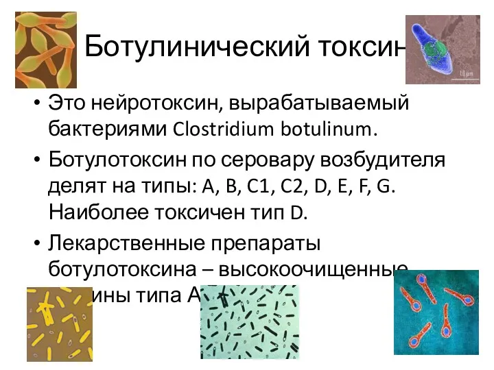 Ботулинический токсин Это нейротоксин, вырабатываемый бактериями Clostridium botulinum. Ботулотоксин по серовару возбудителя делят