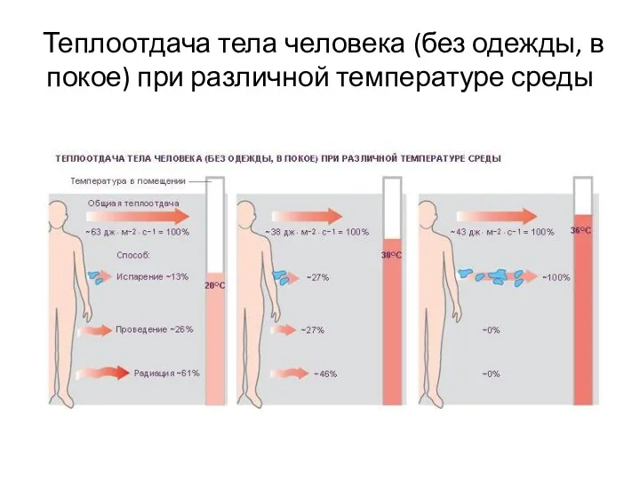 Теплоотдача тела человека (без одежды, в покое) при различной температуре среды
