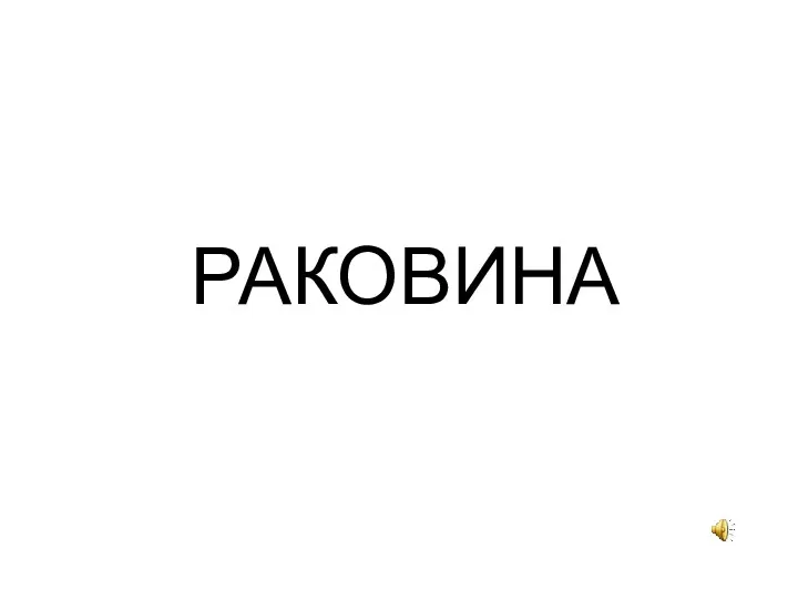 РАКОВИНА