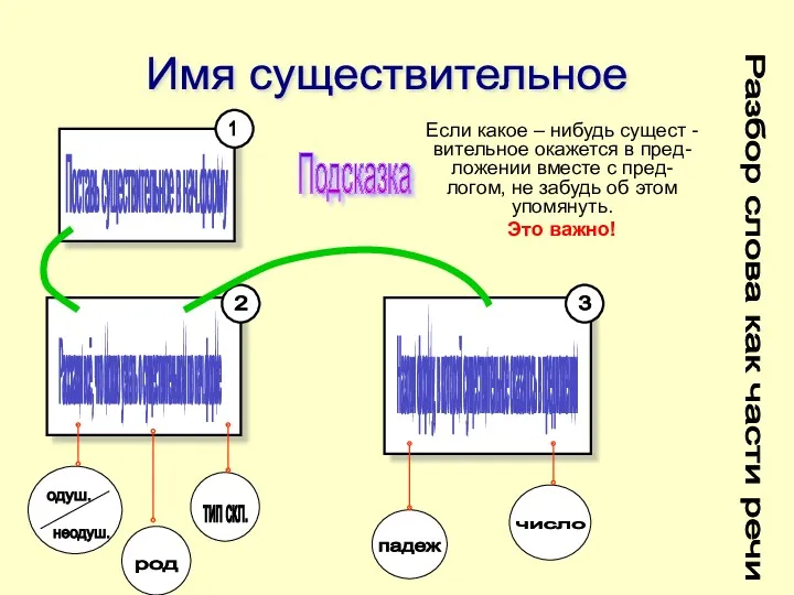 1 Поставь существительное в нач.форму 2 Расскажи всё, что можно узнать о существительном