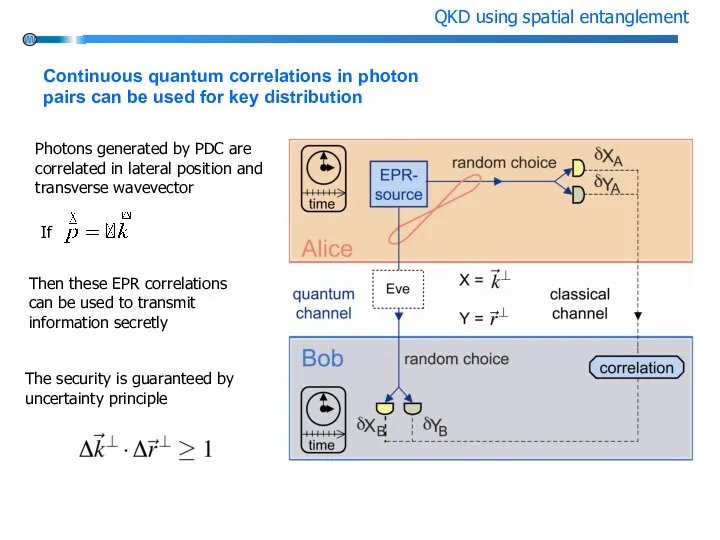 Photons generated by PDC are correlated in lateral position and