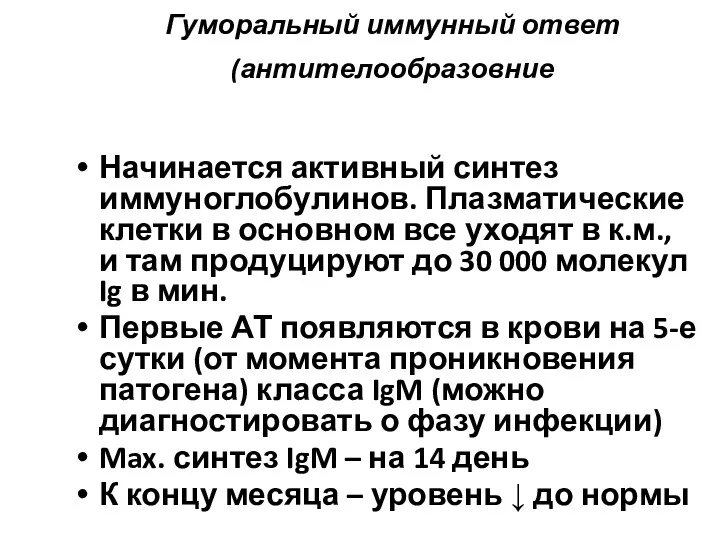 Гуморальный иммунный ответ (антителообразовние Начинается активный синтез иммуноглобулинов. Плазматические клетки