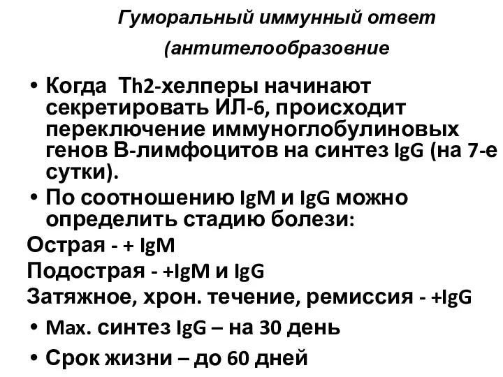 Гуморальный иммунный ответ (антителообразовние Когда Тh2-хелперы начинают секретировать ИЛ-6, происходит