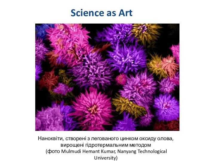 Science as Art Наноквіти, створені з легованого цинком оксиду олова,