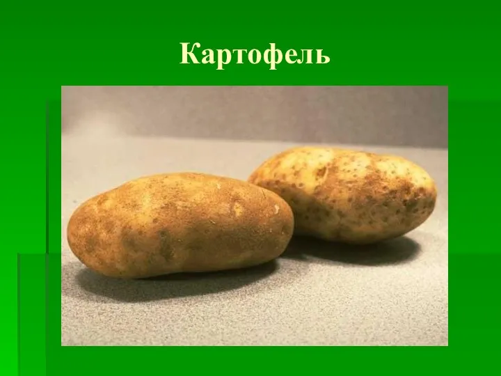 Картофель