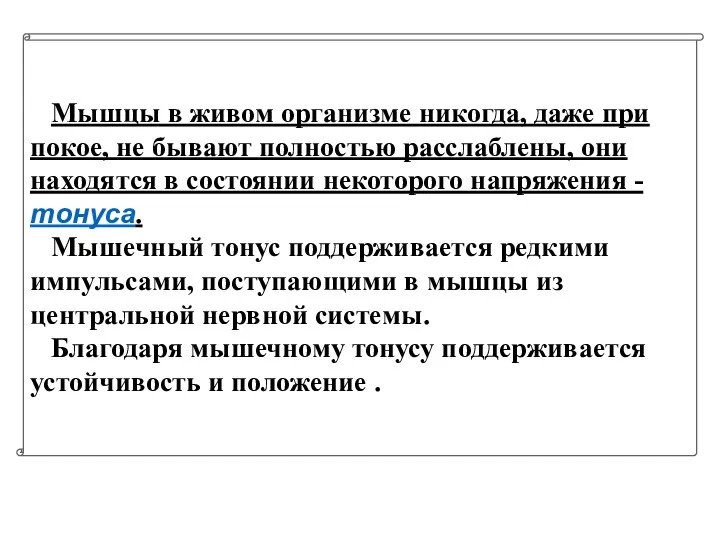 Мышцы в живом организме никогда, даже при покое, не бывают