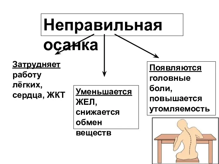 Неправильная осанка Затрудняет работу лёгких, сердца, ЖКТ Уменьшается ЖЕЛ, снижается