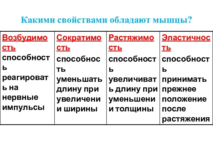 Какими свойствами обладают мышцы?