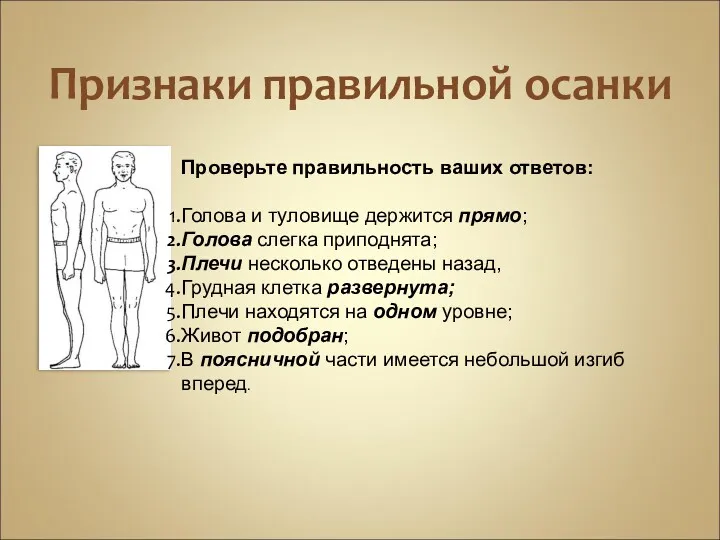 Признаки правильной осанки Проверьте правильность ваших ответов: Голова и туловище