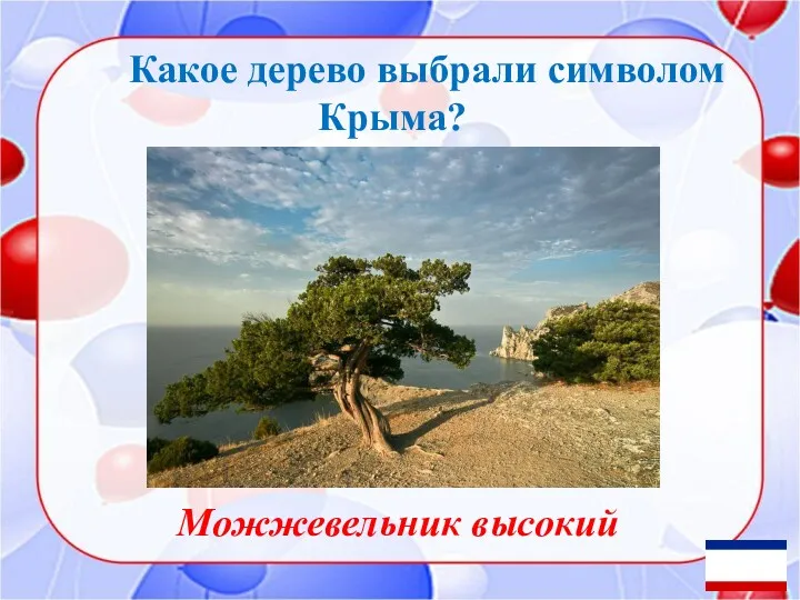 Какое дерево выбрали символом Крыма? Можжевельник высокий