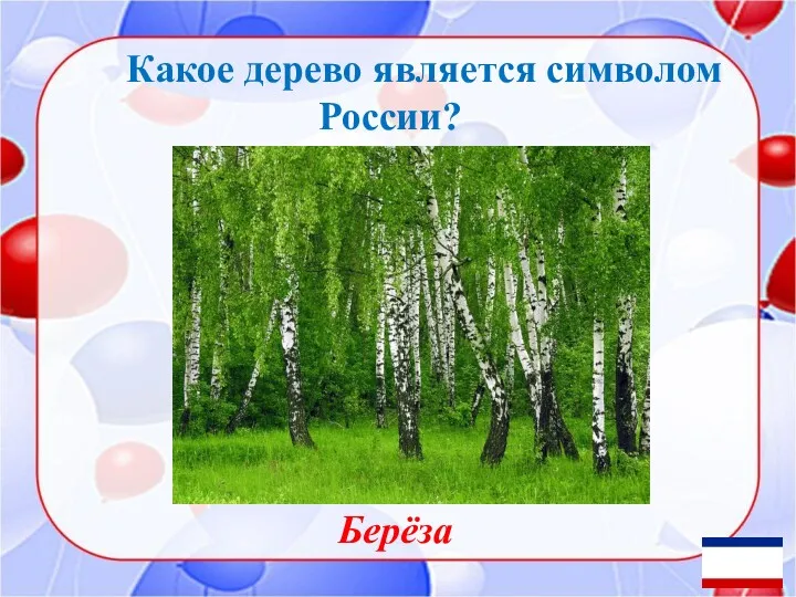 Какое дерево является символом России? Берёза