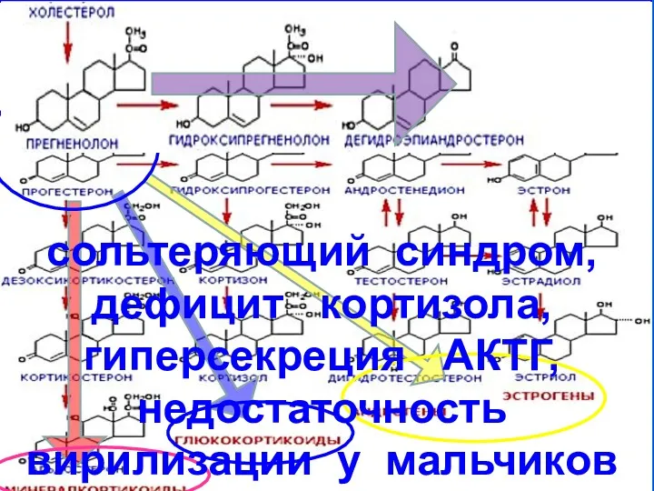 17-ГИДРОКСИПРЕГНЕНОЛОН, ДЕГИДРОЭПИАНДРОСТЕРОН сольтеряющий синдром, дефицит кортизола, гиперсекреция АКТГ, недостаточность вирилизации у мальчиков