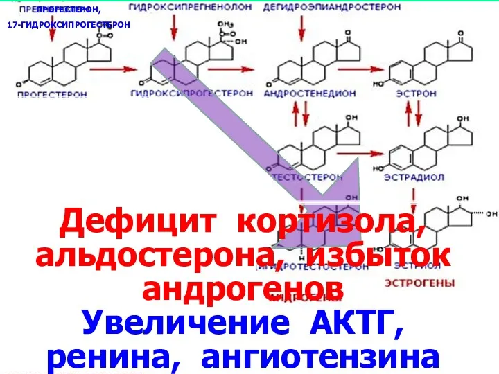 ПРОГЕСТЕРОН, 17-ГИДРОКСИПРОГЕСТЕРОН Дефицит кортизола, альдостерона, избыток андрогенов Увеличение АКТГ, ренина, ангиотензина