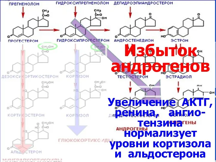 Клинические формы 1. Сольтеряющая 2. Вирильная (простая) 3. Стертая (неклассическая