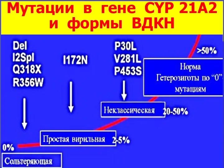 Мутации в гене CYP 21А2 и формы ВДКН