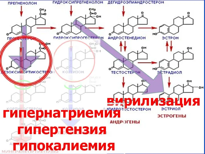 вирилизация гипернатриемия гипертензия гипокалиемия