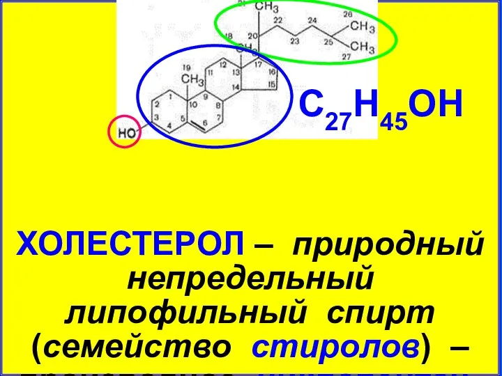ХОЛЕСТЕРОЛ – природный непредельный липофильный спирт (семейство стиролов) – производное циклопентан- пергидрофенантрена С27Н45ОН