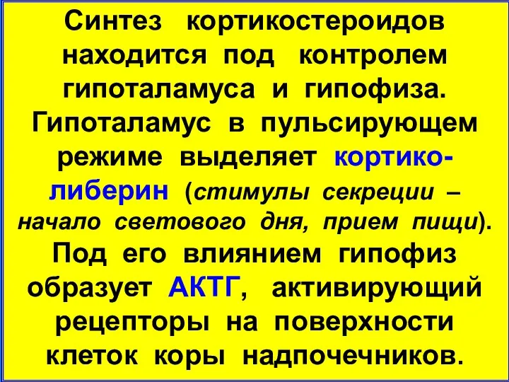 Синтез кортикостероидов находится под контролем гипоталамуса и гипофиза. Гипоталамус в