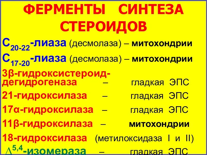 ФЕРМЕНТЫ СИНТЕЗА СТЕРОИДОВ С20-22-лиаза (десмолаза) – митохондрии С17-20-лиаза (десмолаза) –