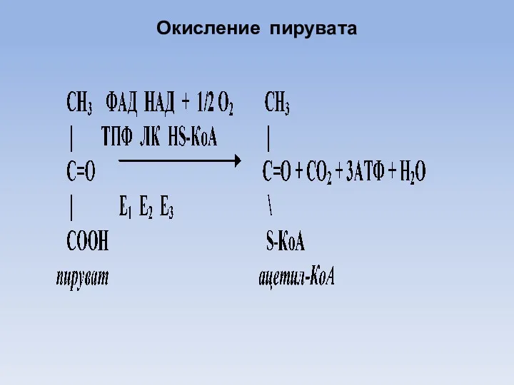 Окисление пирувата