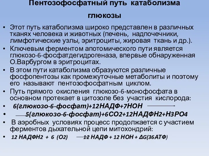 Пентозофосфатный путь катаболизма глюкозы Этот путь катаболизма широко представлен в