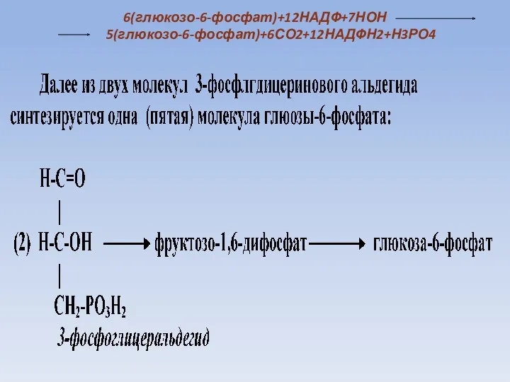 6(глюкозо-6-фосфат)+12НАДФ+7НОН 5(глюкозо-6-фосфат)+6СО2+12НАДФН2+Н3РО4