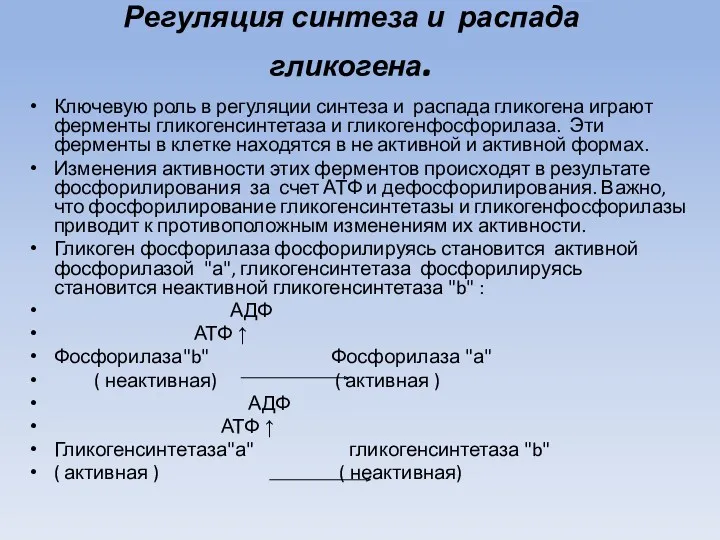 Регуляция синтеза и распада гликогена. Ключевую роль в регуляции синтеза