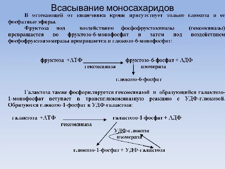 Всасывание моносахаридов