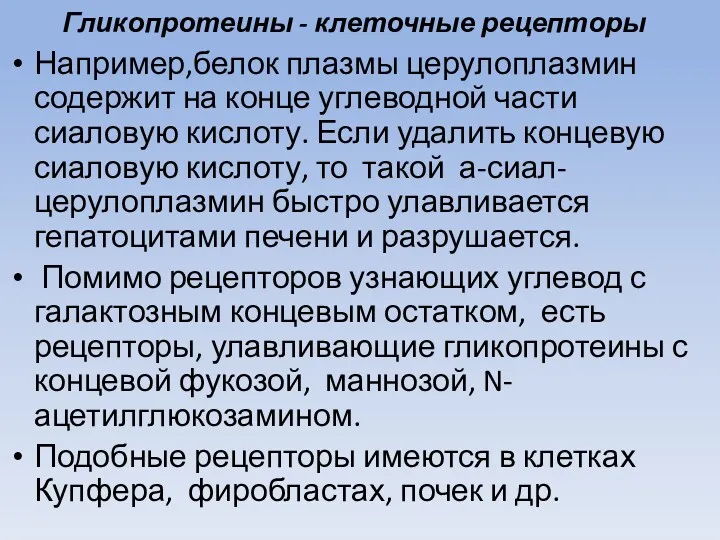 Гликопротеины - клеточные рецепторы Например,белок плазмы церулоплазмин содержит на конце