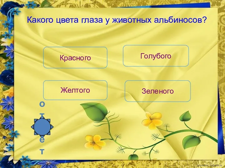 Какого цвета глаза у животных альбиносов? Желтого Голубого Красного Зеленого ответ