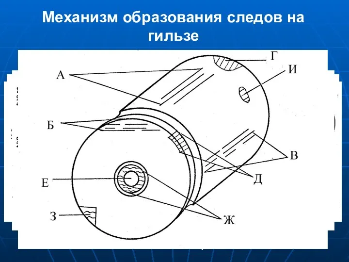 Механизм образования следов на гильзе РАЗРЯЖАНИЕ – след: Вторичный зацепа выбрасывателя Окна затвора Отражателя