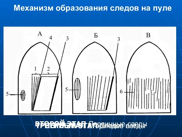 Механизм образования следов на пуле ПЕРВЫЙ ЭТАП Следов нет ВТОРОЙ