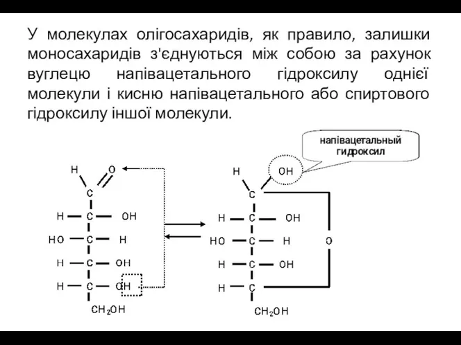 У молекулах олігосахаридів, як правило, залишки моносахаридів з'єднуються між собою