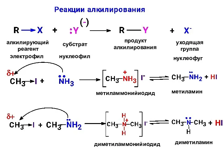 алкилирующий реагент субстрат продукт алкилирования уходящая группа электрофил нуклеофил нуклеофуг метиламмонийиодид метиламин диметиламмонийиодид диметиламин