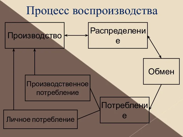 Производство Распределение Потребление Обмен Личное потребление Производственное потребление Процесс воспроизводства