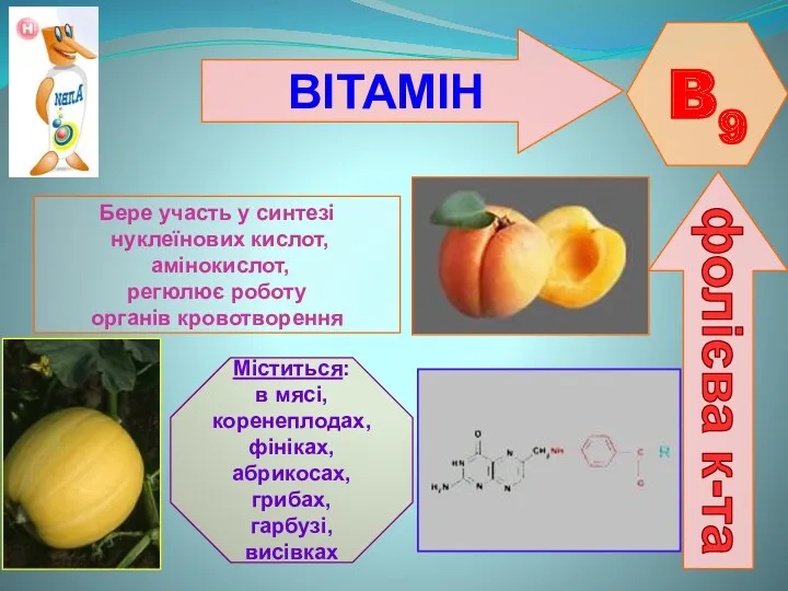 ВІТАМІН B9 фолієва к-та Бере участь у синтезі нуклеїнових кислот,