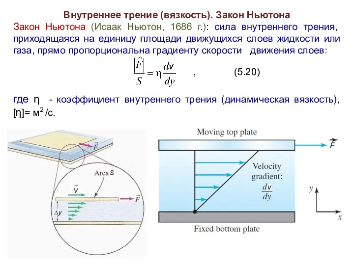 Внутреннее трение (вязкость). Закон Ньютона Закон Ньютона (Исаак Ньютон, 1686