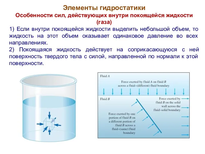 Элементы гидростатики Особенности сил, действующих внутри покоящейся жидкости (газа) 1)