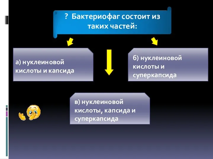 а) нуклеиновой кислоты и капсида б) нуклеиновой кислоты и суперкапсида