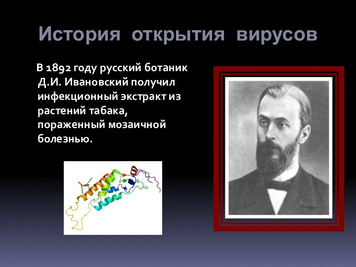 История открытия вирусов В 1892 году русский ботаник Д.И. Ивановский